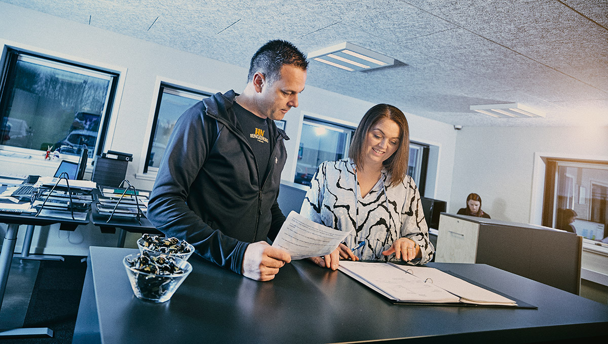 Professionel 
rapportering